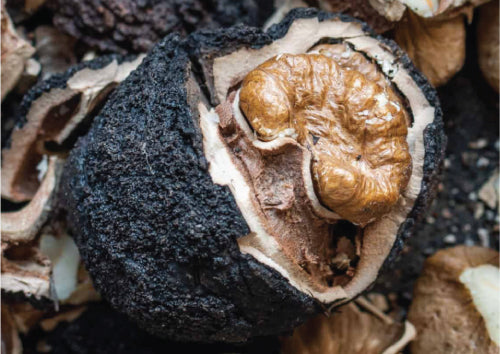 Walnut cracked open laying on a bed of walnut shells