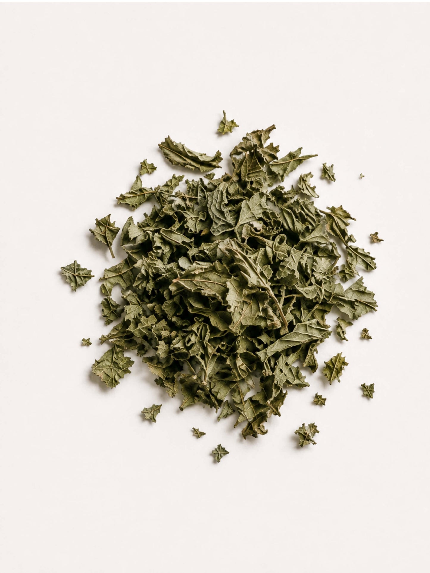 Nettle loose leaf dried flat lay on white background